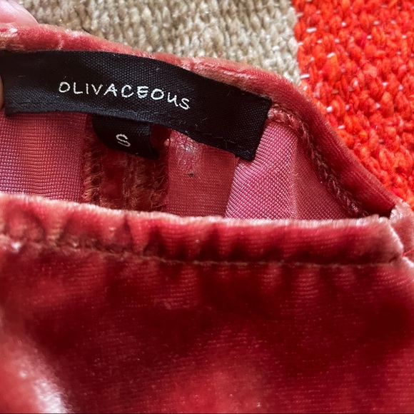 Olivaceous Velvet Gown - Small - Picture 4 of 4